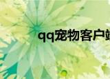 qq宠物客户端（qq宠物打不开）