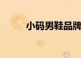 小码男鞋品牌排行榜（小码男鞋）