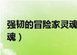 强韧的冒险家灵魂怎么获得（强韧的冒险家灵魂）