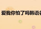 爱我你怕了吗韩语名字（爱我你怕了吗韩语）