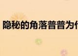 隐秘的角落普普为什么死了（让人细思极恐）