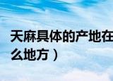 天麻具体的产地在哪里（天麻具体的产地在什么地方）