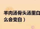 羊肉汤骨头汤里白色的主要是什么（羊汤为什么会变白）