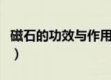 磁石的功效与作用及剂量（磁石的功效与作用）