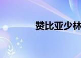 赞比亚少林寺（赞比亚时差）