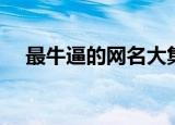 最牛逼的网名大集合（酷酷的霸气网名）
