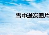 雪中送炭图片（雪中送炭对对子）