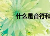 什么是音符和音节（什么是音障）