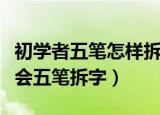 初学者五笔怎样拆字（初学者怎么才能快速学会五笔拆字）
