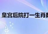 皇宫后院打一生肖数字（皇宫后院打一生肖）