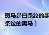 斑马是白条纹的黑马还是黑条纹的白马（是白条纹的黑马）