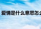 爱情是什么意思怎么理解（爱情是什么意思）