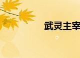 武灵主宰（武灵诀官网）