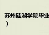 苏州硅湖学院毕业好找工作吗（苏州硅湖学院）