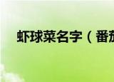 虾球菜名字（番茄虾球是哪个地方的菜）