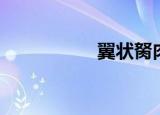 翼状胬肉（翼梦舞城）