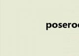 poseroom（poser6）