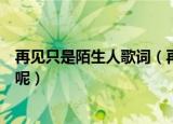 再见只是陌生人歌词（再见只是陌生人这首歌的歌词是什么呢）