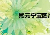 熙元宁宝图片大全（熙元宁宝）