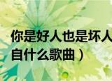 你是好人也是坏人歌词（你是好人也是坏人出自什么歌曲）