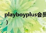 playboyplus会员一年多少钱（playboypdf）