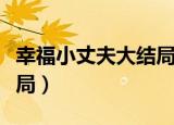 幸福小丈夫大结局心兰梦游（幸福小丈夫大结局）