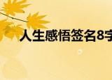 人生感悟签名8字左右（人生感悟签名）