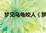 梦见乌龟咬人（梦见乌龟咬人是什么意思）