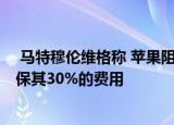  马特穆伦维格称 苹果阻止了WordPress应用程序更新以确保其30%的费用