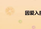 因爱入魔（因爱入魔）