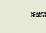 新楚留香（新cg儿）
