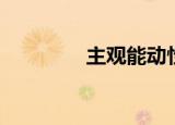 主观能动性（主观能动性）