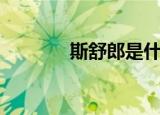 斯舒郎是什么牌子（斯舒郎）