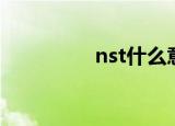 nst什么意思（nst股票）