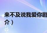来不及说我爱你剧情（来不及说我爱你剧情简介）