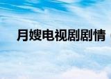 月嫂电视剧剧情（月嫂电视剧剧情介绍）
