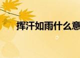 挥汗如雨什么意思（挥汗如雨的含义）