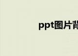ppt图片背景（pp绝缘片）
