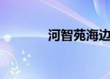 河智苑海边照片（河智苑吧）