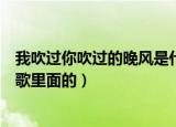 我吹过你吹过的晚风是什么歌（我吹过你吹过的晚风是哪首歌里面的）