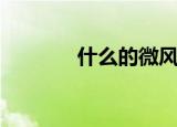 什么的微风（用这个词造句）