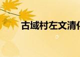 古域村左文清化肥门市（古域论坛）