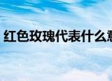 红色玫瑰代表什么意思（红色玫瑰代表含义）