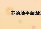 养殖场平面图设计（养殖场平面图）