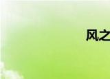 风之谷（风之）
