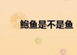 鲍鱼是不是鱼（鲍鱼到底是不是鱼）