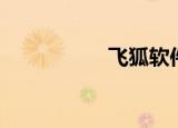 飞狐软件（飞狐软件）