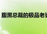 腹黑总裁的极品老婆（腹黑总裁的极品新娘）