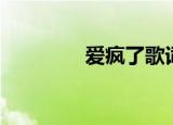 爱疯了歌词（完整版歌词）