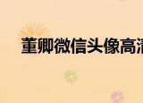 董卿微信头像高清大图（董卿微博微博）